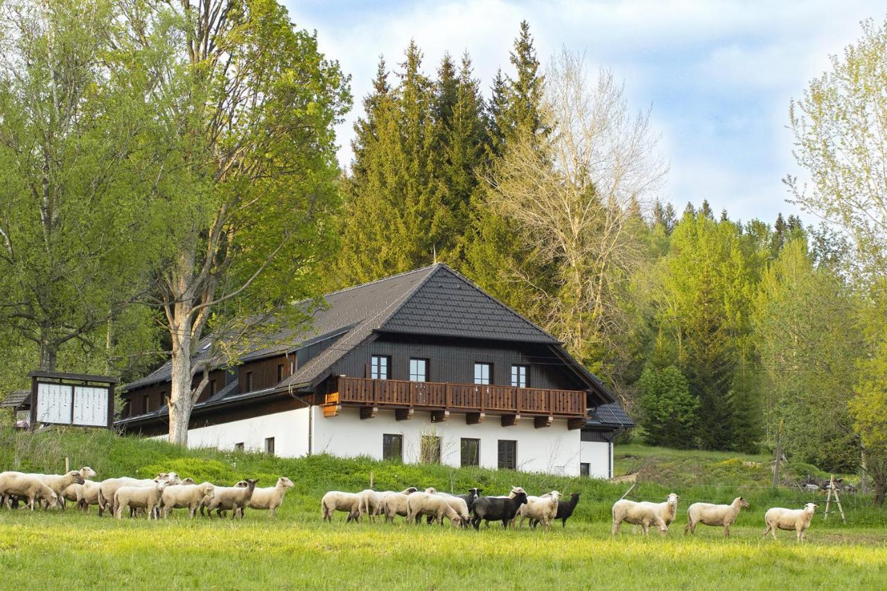 Hotel Dvur Liskovy Vrch Strazny Esterno foto