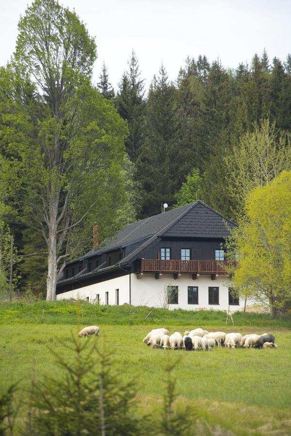 Hotel Dvur Liskovy Vrch Strazny Esterno foto